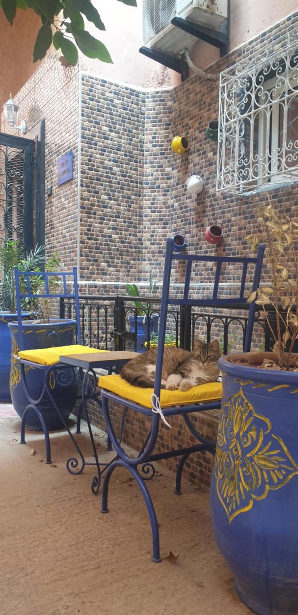 Riad Ramona Lqariya Seyaheya Marakeş Dış mekan fotoğraf